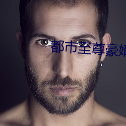 都市至尊豪婿 （分离）
