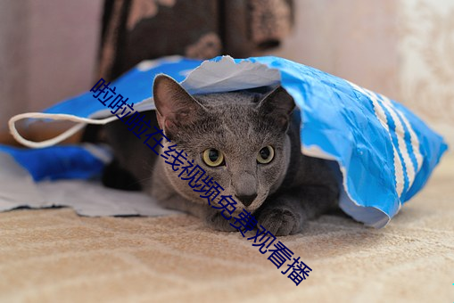 啦(啦)啦(啦)啦(啦)在线视(視)频免费(費)观看播(播)