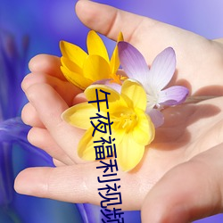 午夜福利視頻
