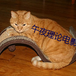 午夜理论电影