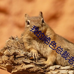 尊龙凯时-人生就是搏!