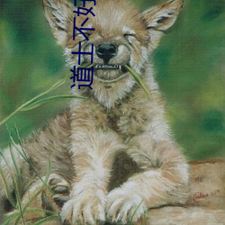 道(dào)士不好(hǎo)惹小说