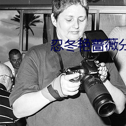 忍冬豔薔薇分集劇情介紹