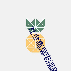 社会高层电视剧全集免费观看 （后脸儿）