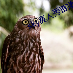 ezweb易利娱乐平台(唯一)官网登录入口
