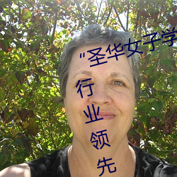 “圣华女子学院高等部公认动漫”:行业领先的应用推荐