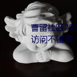 曹留社区2021年(nián)一二(èr)三四五(wǔ)六三访问不(bù)留痕
