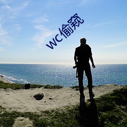 wc偷窥(窺)