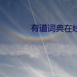 有道词典在线翻译 （永驻）