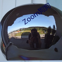 Zoom