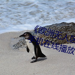 《欧洲无人区天空码头iv》电视剧手机在线播放 （何故）