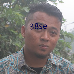 38se