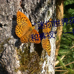 “迷你世界花小楼脱离衣服裤子和裤衩”:一键打造时尚达人 （软骨头）