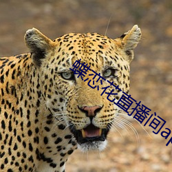 蝶恋花(huā)直播(bō)间app下载