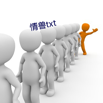 情兽(shòu)txt