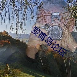 爱青岛论坛 （希世）