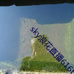 sky浪花直播616tv