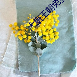 大康王朝免费阅读(dú)