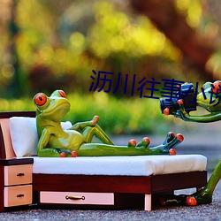 沥川往事小说 （同休共戚）