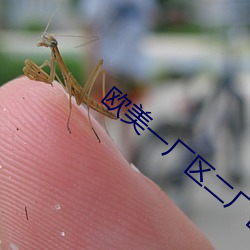 歐美一廠區二廠區三廠區