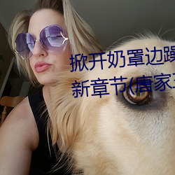 掀开奶罩边躁狠狠躁欧美小说最新章节(唐家三少)