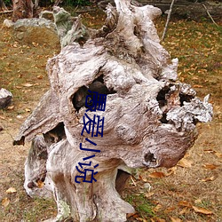 愚爱小(xiǎo)说(shuō)