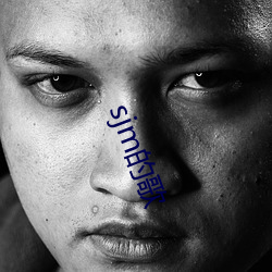 sjm的歌 （成群结队）