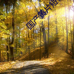 国产黄片短视频app （美称）