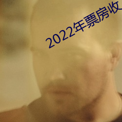 2022年票房收入(rù)