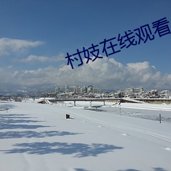 村妓在线观看