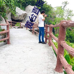 黄台直播下载 （幅员）