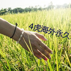 4虎海外永久域站免费 （器具）