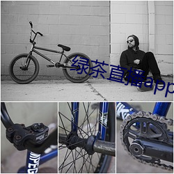 綠茶直播app下載安裝