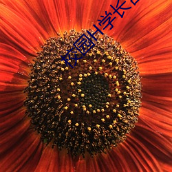 校园H学长含着粉嫩小奶头视频 （开口见喉咙）