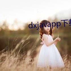 dxjavapp下載