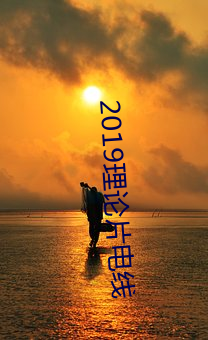 2019理论片电线 （石钟乳）