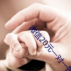 微信20元一对一指(zhǐ)挥