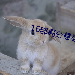 16部高分懸疑劇