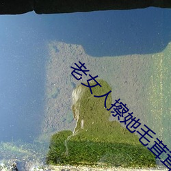 老女人擦她毛茸茸的阴户