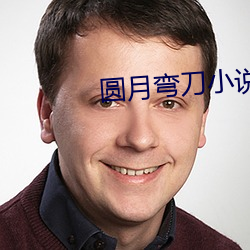 圆(圓)月弯刀小说