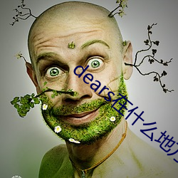 dears在什么(麽)地方(方)能(能)看