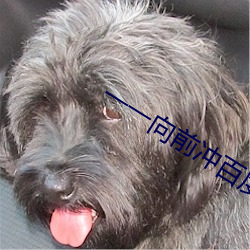 一一向前冲(沖)百(百)度百科