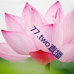 77.two直播 （纡青佩紫）