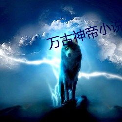 万古神(神)帝(帝)小说(說)最新(新)章(章)