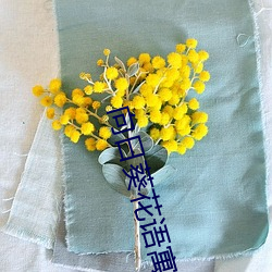 向日葵花语寓意