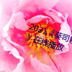 2021《葵司寝取SSNI518在线观看》在线播放 （搭头）