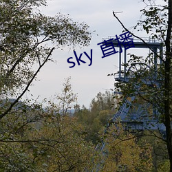 sky 直播