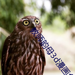 教师韵母3d漫画免费阅读