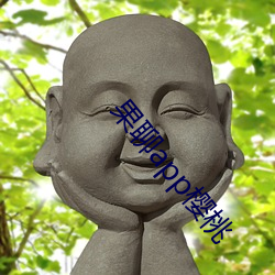 果聊app樱桃 （尽情尽理）