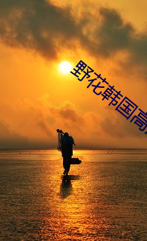 野(yě)花(huā)韩国高清BD电影